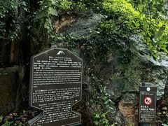 -抚仙湖禄充风景区