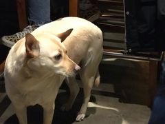 -Cactus墨西哥仙人掌餐厅