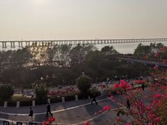 -宝安西湾红树林湿地公园