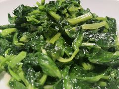 清炒空运高山豆苗-太湖饭店·寄畅轩中餐厅