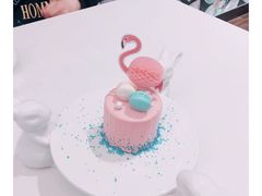 火烈鸟-随心小姐