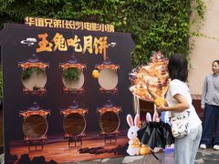 -华谊兄弟（长沙）电影小镇