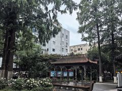 -常州古运河南大街文化旅游区-人民公园