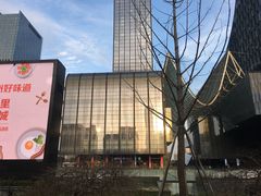 -苏州现代传媒广场商业