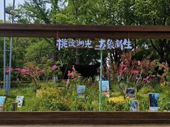 -金鸡湖桃花岛