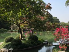 -云溪植物园