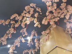 -新廊桥(原科华廊桥店)