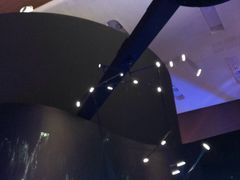 -贝林大翅鲸简餐厅(国家海洋博物馆店)