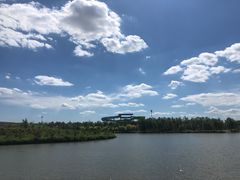 -蒲河岛湿地公园