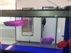 -宝岛眼镜(杭州万塘路旗舰店)