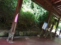 -亚龙湾海底世界