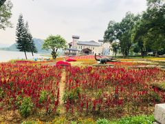 -英德宝晶宫天鹅湖茶语温泉