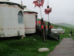 -关山牧场王师烤全羊