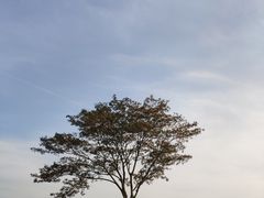 -盘龙城遗址博物院