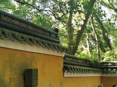 -法雨寺餐厅