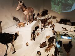 -墨尔本博物馆(Melbourne Museum)