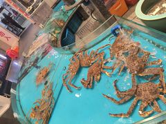 -舌尖上·霞浦滩涂海鲜·新闽菜(总店)