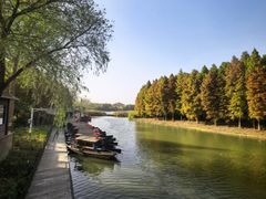 -溱湖国家湿地公园