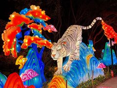 -欢乐海岸椰林沙滩-2025湾区超级灯会