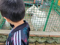 -同里湖度假村(二期店)