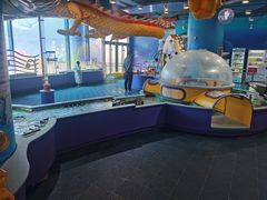 -中国宋庆龄青少年科技文化交流中心