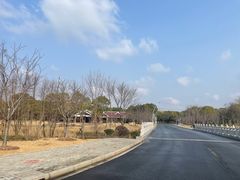 -自然谷恐龙园