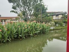 -江门古劳水乡旅游区
