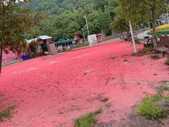 -石燕湖生态旅游景区