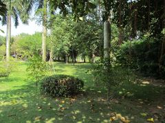 景点-白鹭洲公园