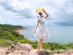 -广东惠东海龟国家级自然保护区
