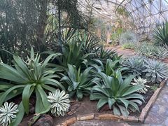 -北京植物园-展览温室