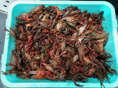 -盒马鲜生(曜一城店)