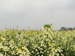 -中国天府农业博览园