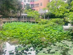 -长洲岛