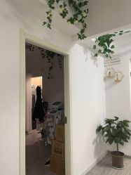 -凡碧诗毛孔收细