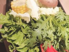 -掂档潮汕牛肉火锅(沈阳万象城店)