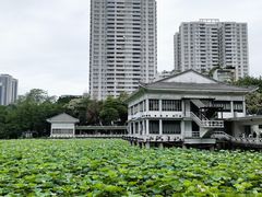 -荔湾湖公园