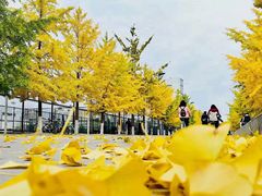 防灾科技学院南校区操场-防灾科技学院(南校区)