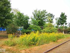 -永定河休闲森林公园