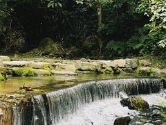 -红山村