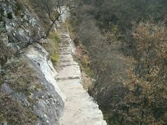 -终南山国家森林公园