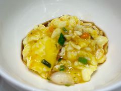 -丁老爷子苏香圆