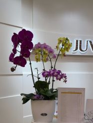 -JUVA欧华医美连锁