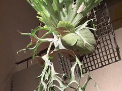 -朴墅(西湖青芝坞店·杭帮菜·家宴.14年的店)