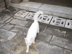 -秦唐汉味biangbiang面(大钟寺店)