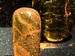 -深圳珠宝博物馆