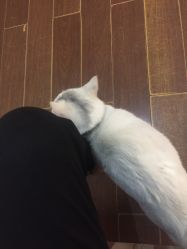 -梵梦影像馆(绿博园店)