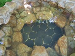 -盘锦红海温泉乐园