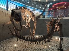 -国家自然博物馆