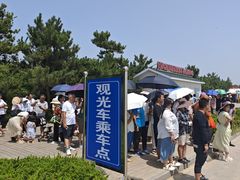 -日照海滨国家森林公园